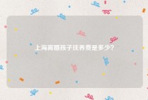 上海离婚孩子抚养费是多少？