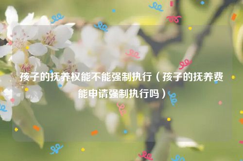 孩子的抚养权能不能强制执行（孩子的抚养费能申请强制执行吗）