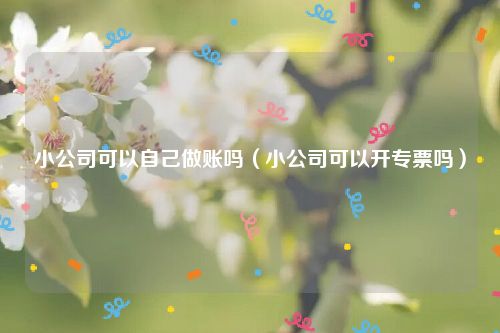 小公司可以自己做账吗（小公司可以开专票吗）