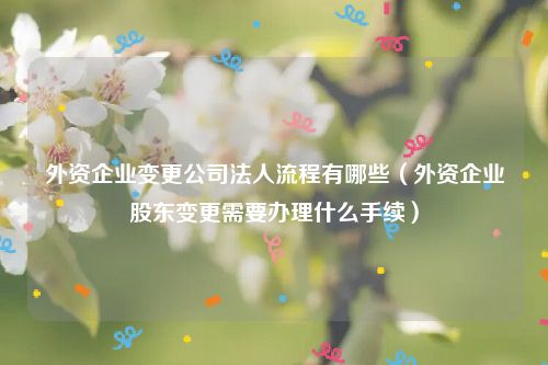 外资企业变更公司法人流程有哪些（外资企业股东变更需要办理什么手续）