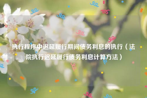 执行程序中迟延履行期间债务利息的执行（法院执行迟延履行债务利息计算方法）