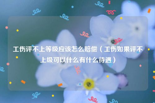 工伤评不上等级应该怎么赔偿（工伤如果评不上级可以什么有什么待遇）