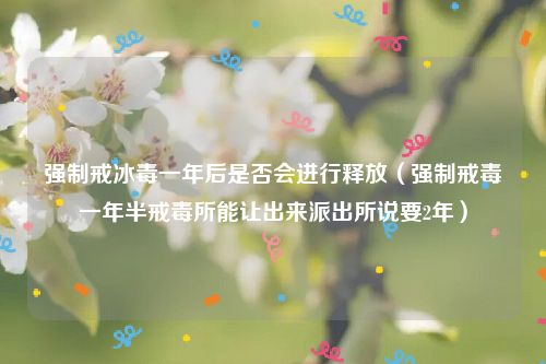 强制戒冰毒一年后是否会进行释放（强制戒毒一年半戒毒所能让出来派出所说要2年）