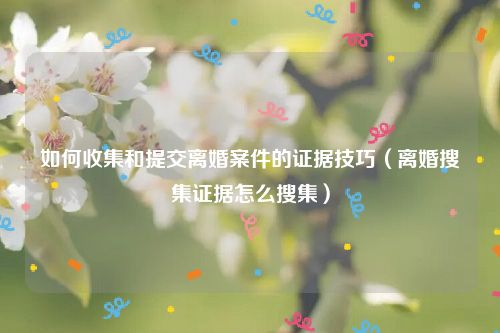 如何收集和提交离婚案件的证据技巧（离婚搜集证据怎么搜集）