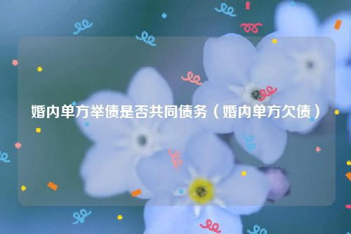 婚内单方举债是否共同债务（婚内单方欠债）