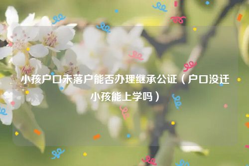 小孩户口未落户能否办理继承公证（户口没迁小孩能上学吗）