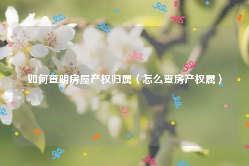 如何查明房屋产权归属（怎么查房产权属）