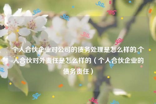 个人合伙企业对公司的债务处理是怎么样的,个人合伙对外责任是怎么样的（个人合伙企业的债务责任）