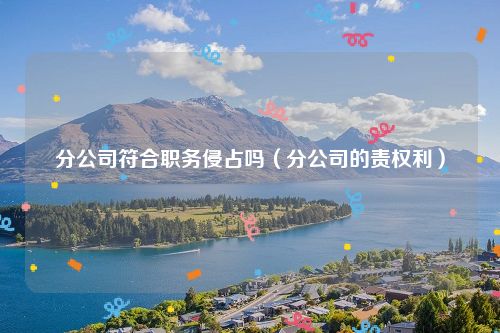 分公司符合职务侵占吗（分公司的责权利）