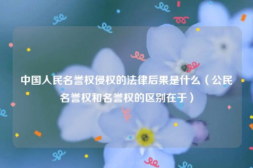 中国人民名誉权侵权的法律后果是什么（公民名誉权和名誉权的区别在于）