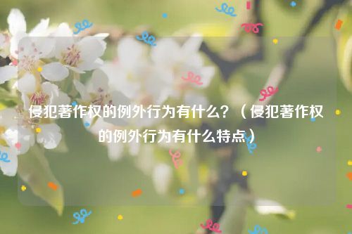 侵犯著作权的例外行为有什么？（侵犯著作权的例外行为有什么特点）