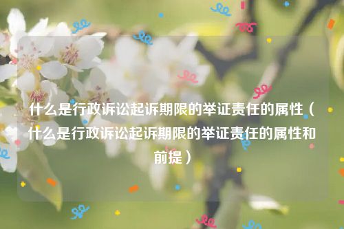 什么是行政诉讼起诉期限的举证责任的属性（什么是行政诉讼起诉期限的举证责任的属性和前提）