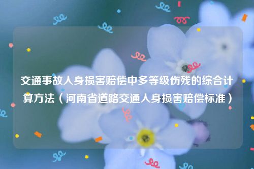 交通事故人身损害赔偿中多等级伤残的综合计算方法（河南省道路交通人身损害赔偿标准）