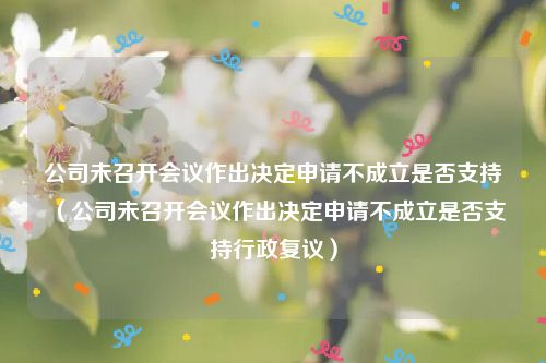 公司未召开会议作出决定申请不成立是否支持（公司未召开会议作出决定申请不成立是否支持行政复议）